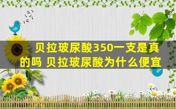 贝拉玻尿酸350一支是真的吗 贝拉玻尿酸为什么便宜